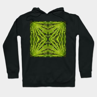 In the PALM of your HAND no. 2 Hoodie